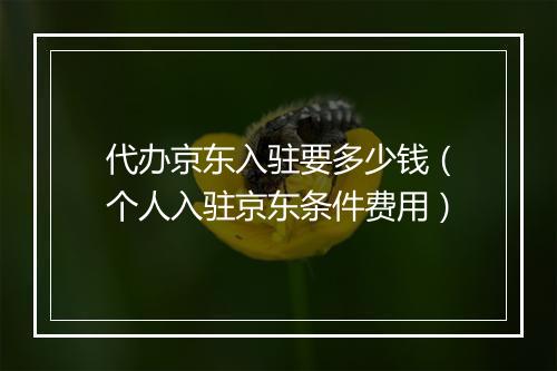 代办京东入驻要多少钱（个人入驻京东条件费用）
