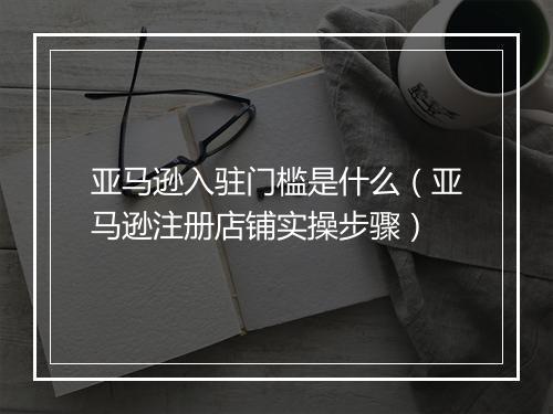 亚马逊入驻门槛是什么（亚马逊注册店铺实操步骤）