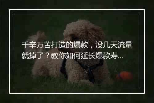 千辛万苦打造的爆款，没几天流量就掉了？教你如何延长爆款寿命！