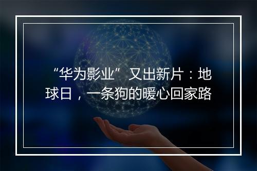 “华为影业”又出新片：地球日，一条狗的暖心回家路