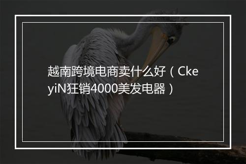 越南跨境电商卖什么好（CkeyiN狂销4000美发电器）