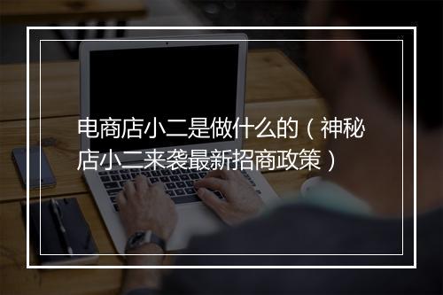 电商店小二是做什么的（神秘店小二来袭最新招商政策）