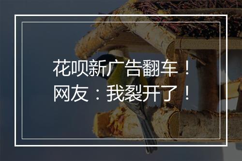 花呗新广告翻车！网友：我裂开了！