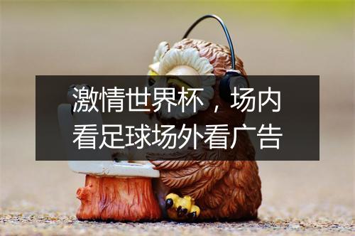 激情世界杯，场内看足球场外看广告