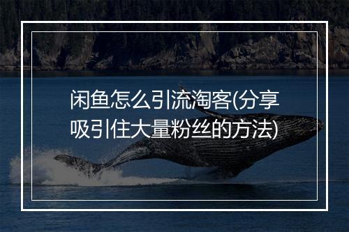 闲鱼怎么引流淘客(分享吸引住大量粉丝的方法)