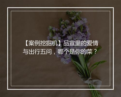 【案例挖掘机】品宣里的爱情与出行五问，哪个是你的菜？