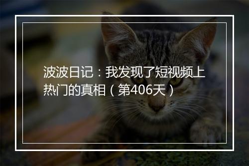 波波日记：我发现了短视频上热门的真相（第406天）