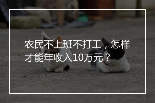 农民不上班不打工，怎样才能年收入10万元？