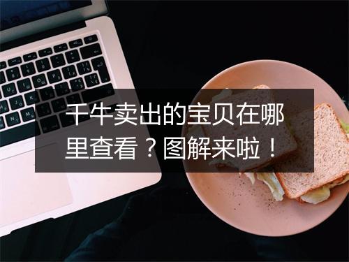 千牛卖出的宝贝在哪里查看？图解来啦！