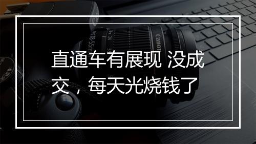 直通车有展现 没成交，每天光烧钱了