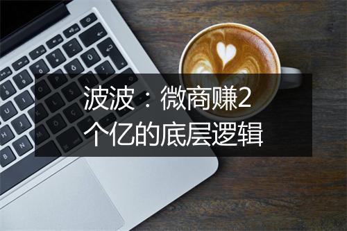 波波：微商赚2个亿的底层逻辑