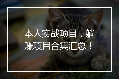 本人实战项目，躺赚项目合集汇总！