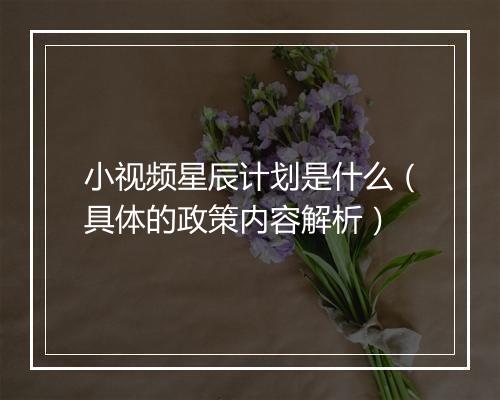 小视频星辰计划是什么（具体的政策内容解析）