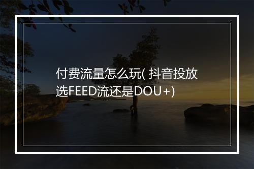 付费流量怎么玩( 抖音投放选FEED流还是DOU+)