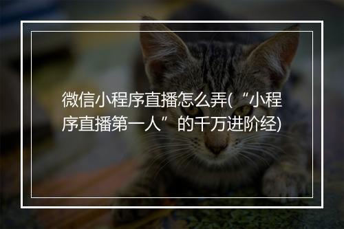 微信小程序直播怎么弄(“小程序直播第一人”的千万进阶经)