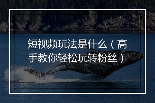 短视频玩法是什么（高手教你轻松玩转粉丝）