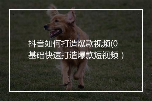 抖音如何打造爆款视频(0基础快速打造爆款短视频）