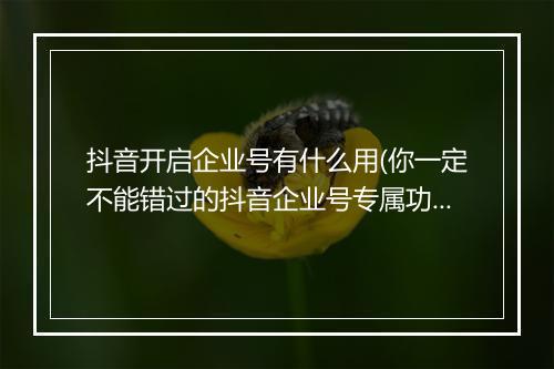 抖音开启企业号有什么用(你一定不能错过的抖音企业号专属功能)