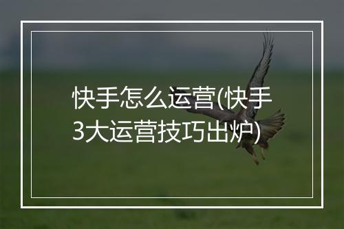 快手怎么运营(快手3大运营技巧出炉)
