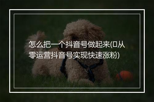 怎么把一个抖音号做起来(​从零运营抖音号实现快速涨粉)