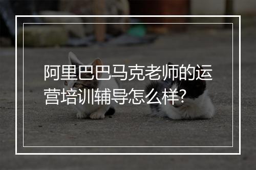 阿里巴巴马克老师的运营培训辅导怎么样?