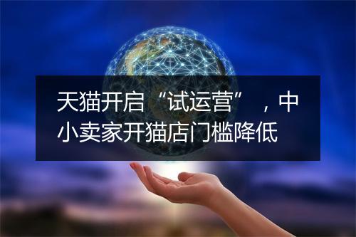 天猫开启“试运营”，中小卖家开猫店门槛降低
