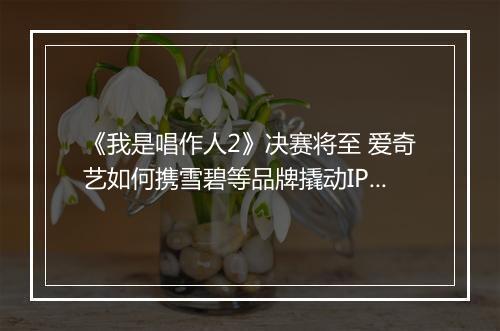 《我是唱作人2》决赛将至 爱奇艺如何携雪碧等品牌撬动IP价值