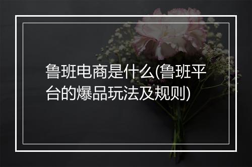 鲁班电商是什么(鲁班平台的爆品玩法及规则)
