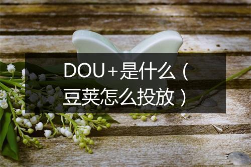 DOU+是什么（豆荚怎么投放）