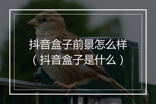 抖音盒子前景怎么样（抖音盒子是什么）
