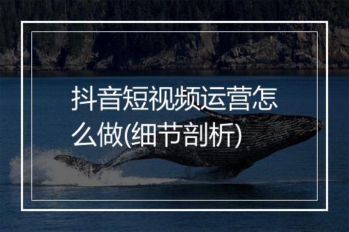 抖音短视频运营怎么做(细节剖析)