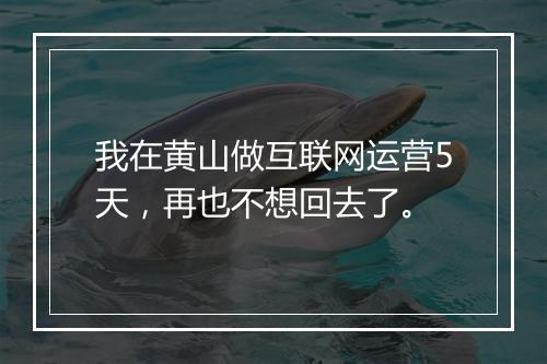 我在黄山做互联网运营5天，再也不想回去了。