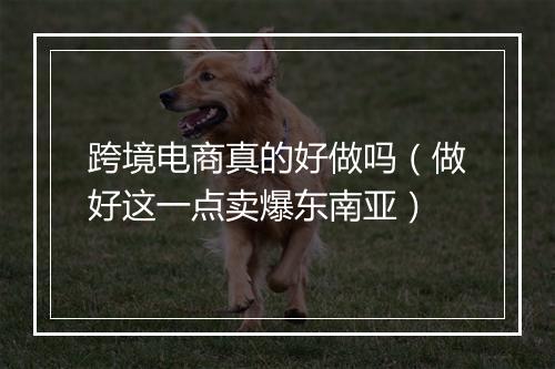 跨境电商真的好做吗（做好这一点卖爆东南亚）