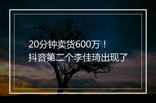 20分钟卖货600万！抖音第二个李佳琦出现了