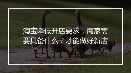淘宝降低开店要求，商家需要具备什么？才能做好新店