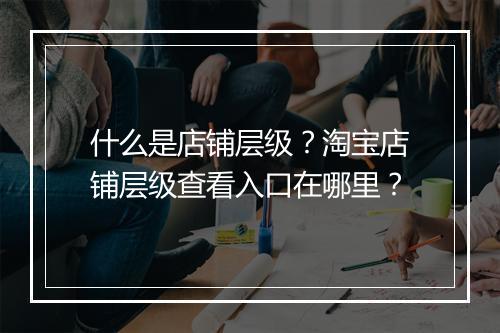 什么是店铺层级？淘宝店铺层级查看入口在哪里？
