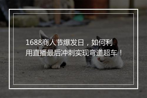 1688商人节爆发日，如何利用直播最后冲刺实现弯道超车！