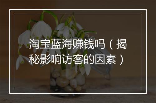 淘宝蓝海赚钱吗（揭秘影响访客的因素）