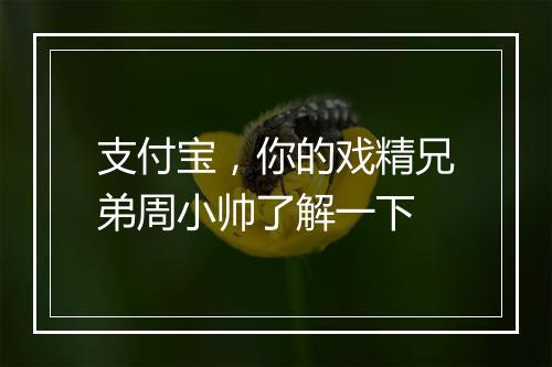 支付宝，你的戏精兄弟周小帅了解一下