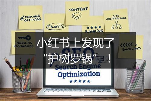 小红书上发现了“护树罗锅”！