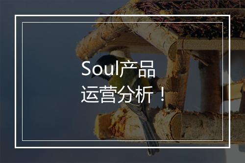 Soul产品运营分析！