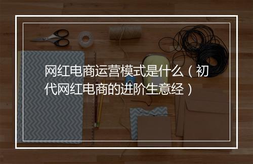 网红电商运营模式是什么（初代网红电商的进阶生意经）