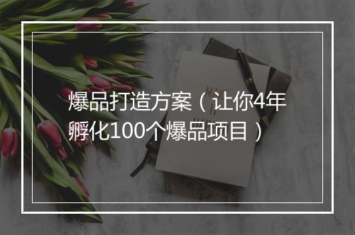 爆品打造方案（让你4年孵化100个爆品项目）
