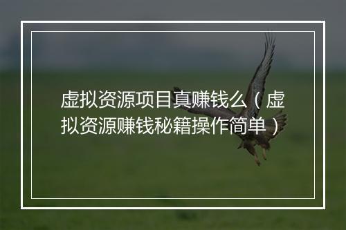 虚拟资源项目真赚钱么（虚拟资源赚钱秘籍操作简单）