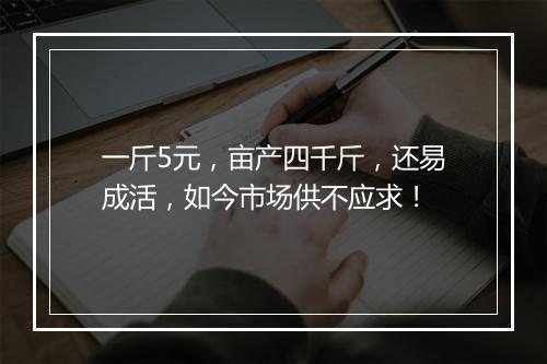 一斤5元，亩产四千斤，还易成活，如今市场供不应求！