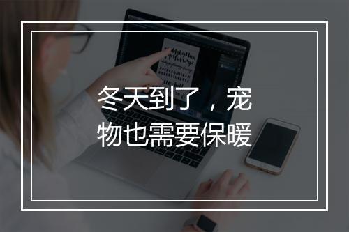 冬天到了，宠物也需要保暖