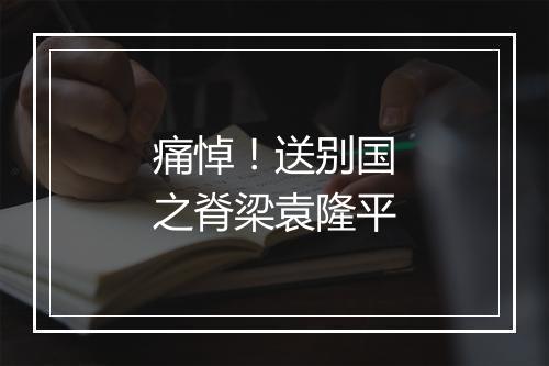 痛悼！送别国之脊梁袁隆平
