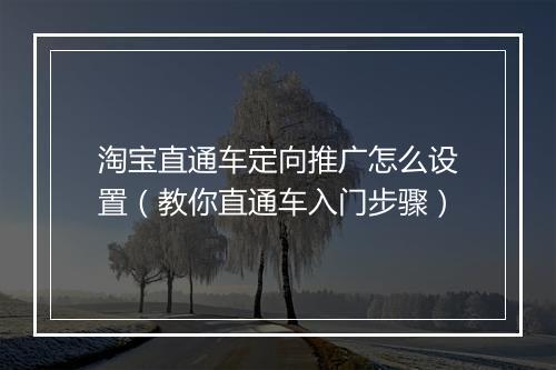 淘宝直通车定向推广怎么设置（教你直通车入门步骤）
