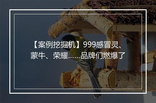 【案例挖掘机】999感冒灵、蒙牛、荣耀……品牌们燃爆了