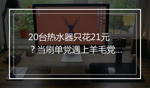 20台热水器只花21元？当刷单党遇上羊毛党…
